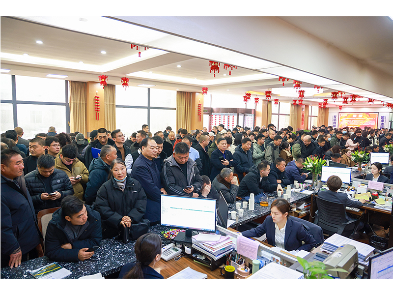 河南JDB电子｜立春又逢“开门红”，奋斗开启新征程